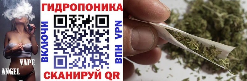 Виды наркотиков купить Сольвычегодск ГАШ  СОЛЬ  Меф мяу мяу  Бошки Шишки 