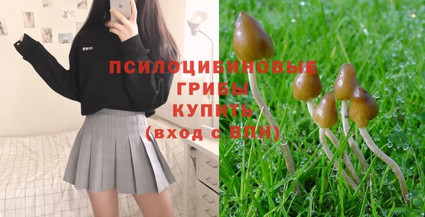 прущая мука Аркадак