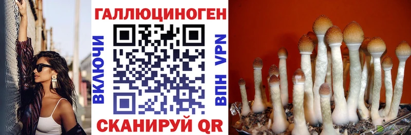 Псилоцибиновые грибы Magic Shrooms  где можно купить   Сольвычегодск 